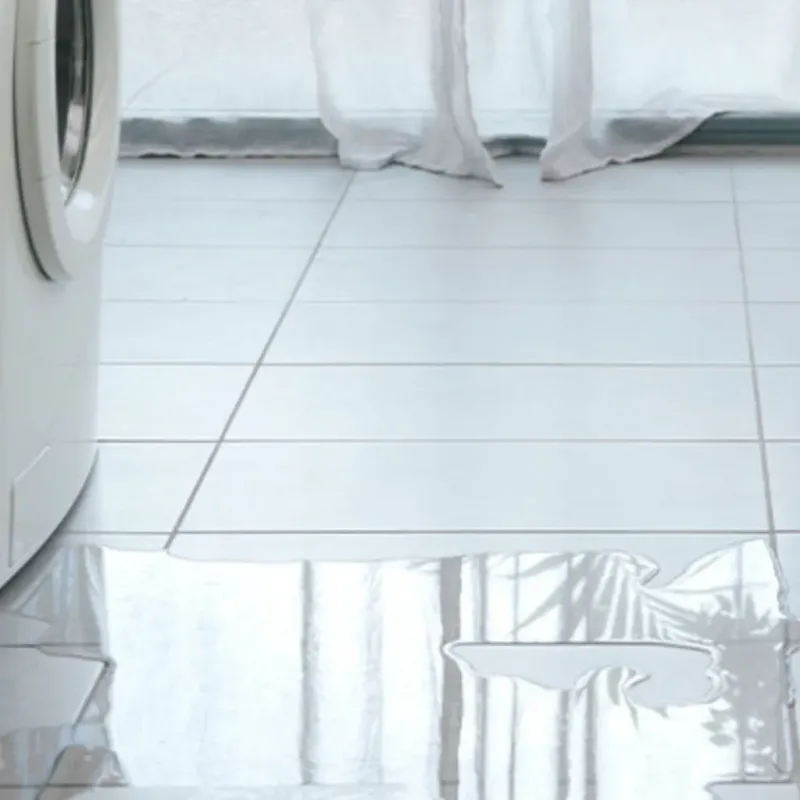 Appliance Leak Cleanup in Williamson, WV