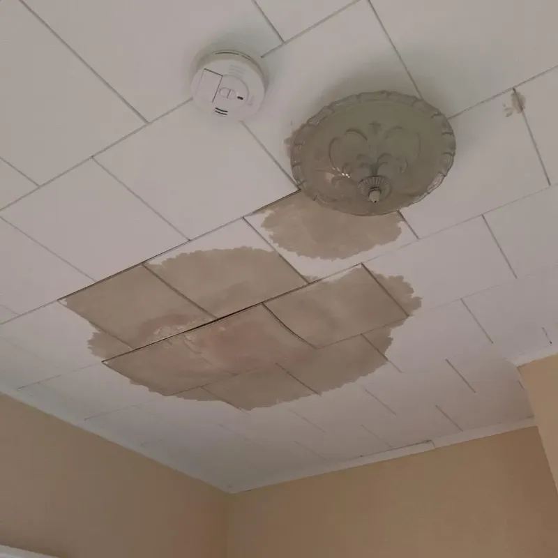 Ceiling Water Damage Repair in Williamson, WV