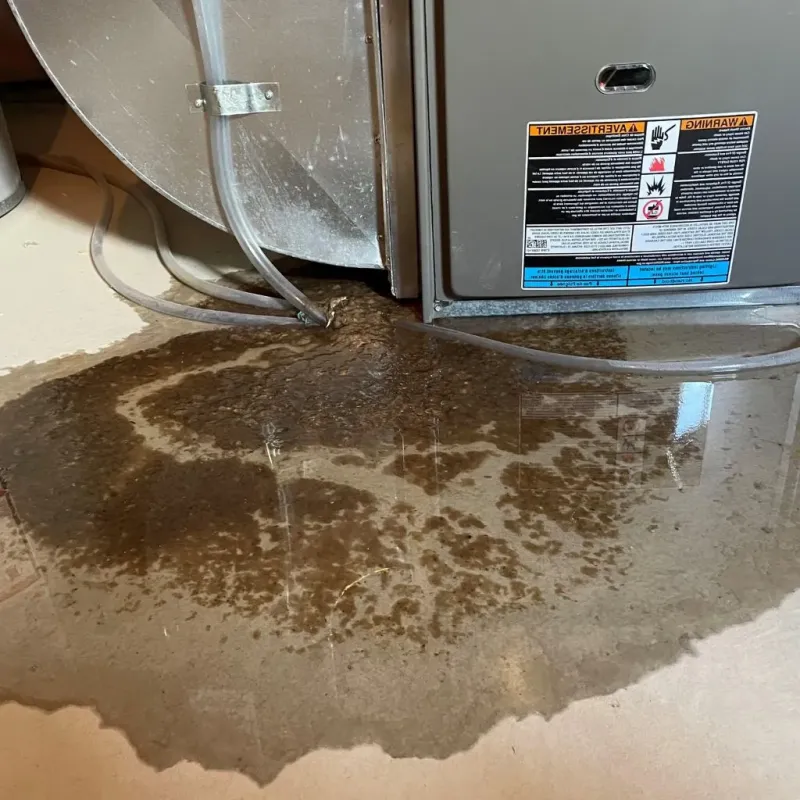 Pipe Burst and Leak Restoration in Williamson, WV