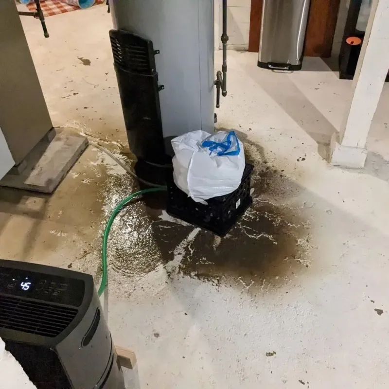 Sewage Backup Cleanup Service in Williamson, WV